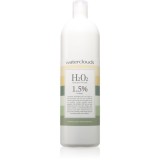 Waterclouds H202 1,5% vol 5 decolorant 1000 ml