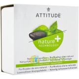 Purificator de Aer cu Uleiuri Esentiale de Mar Verde si Busuioc 227g