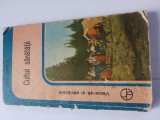 Ion safta-cultul sanatatii