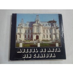 MUZEUL DE ARTA DIN CRAIOVA - PAUL REZEANU
