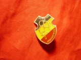 Insigna Suceava - Arboroasa Societatea Culturala , h=2cm