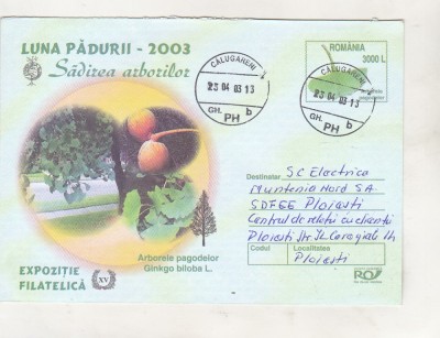 bnk ip Expofil Sadirea Arborilor 2003 - circulat 2003 foto