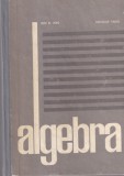 Ion D. Ion, Nicolae Radu - Algebra
