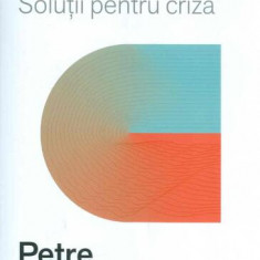 Consultanță și management. Soluții pentru criză - Paperback brosat - Petre Datculescu - Prior