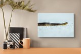 Tablou Canvas Șarpe &icirc;n lumina dimineții adormiți - Artă Naturală, 39 x 26 cm, CMCLASS