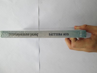 Gin Phillips - Jocul supravietuirii foto