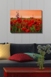 Cumpara ieftin Tablou Kanvas Multicolor 50x70x3 cm