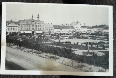 Carte postala, Satu Mare, parcul, 1930 foto