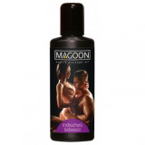 Ulei de Masaj Indian Afrodisiac Orion Magoon, Diverse Arome, 100ml, Sex Shop