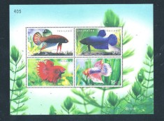 THAILANDA 2002 FAUNA MARINA PESTI foto