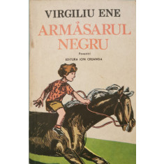 Armasarul negru - Virgiliu Ene