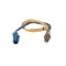 BOSCH 0 258 006 571 Sonda Lambda