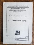 Valorificarea cepei - Indrumari tehnice , autograf / R4P2F, Alta editura