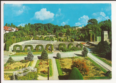 Carte Postala veche - Timisoara, Parcul Rozelor, circulata 1972 foto