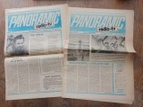 Cumpara ieftin PANORAMIC RADIO-TV, ANUL 1/ 1990, NR 33 SI 34
