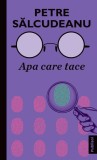 Apa care tace - Petre Salcudeanu