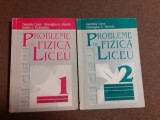 Probleme de fizica pentru liceu Gabriela Cone (2 volume)