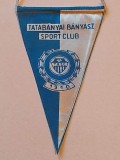 Fanion fotbal - TATABANYAI BANYASZ SC (Ungaria)