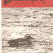 Revista Vanatorul si pescarul sportiv nr.8-1977