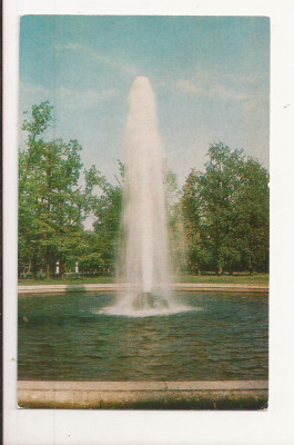 CP1 -Carte Postala - RUSIA - Leningrad, Petrodvorets, the Menager Fountain foto