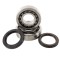 Set Rulmenti Ambielaj Honda CRF 450R 02- 11