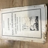 B. Crampeie de viata Strejareasca