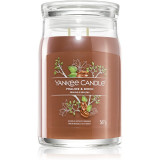 Yankee Candle Praline &amp; Birch lum&acirc;nare parfumată 567 g