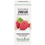 Extract Mladite Zmeur PlantExtrakt 50ml - Echilibru Hormonal Feminin, Menopauza, Ciclu Menstrual