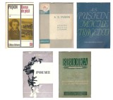 Pachet 5 Carti A. S. Puskin - Volume de Literatura Rusa Clasica