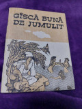 GASCA BUNA DE JUMULIT,Tradus Povestile lumii,Mihaela Desliu/Valentin Desliu 1990