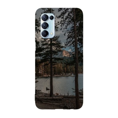 Husa compatibila cu Oppo Find X3 Lite model Desolated forest lake, Silicon, TPU, Viceversa foto