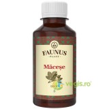 Sirop de Macese 200ml