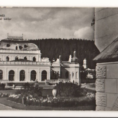 CPI B13844 CARTE POSTALA - VATRA DORNEI. PAVILIONUL CENTRAL AL BAILOR, RPR