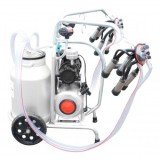 Aparat de muls vaci cu grup colector 160cc sasiu galvanizat bidon aluminiu 40L 2 posturi Breckner Germany