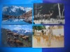 HOPCT LOT NR 457 MAMIFERE -FAUNA-4 CARTI POSTALE-CIRCULATE, Circulata, Printata