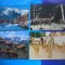 HOPCT LOT NR 457 MAMIFERE -FAUNA-4 CARTI POSTALE-CIRCULATE