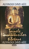 Tainele Invataturilor Tibetane - Alexandra David-Neel, Nemira 1994, Totem, Carte Religioasa Tibet