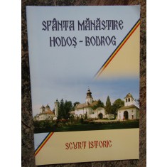 SFANTA MANASTIRE HODOS-BODROG -NESTOR IOVAN