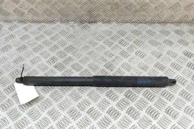Amortizor haion dreapta BMW X5 E70 2010 OEM: 7177283 26021977 foto