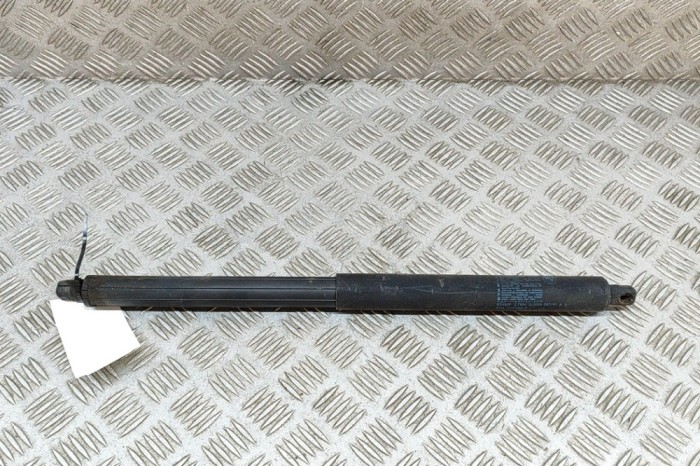 Amortizor haion dreapta BMW X5 E70 2010 OEM: 7177283 26021977