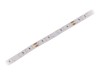 Bandă LED Alb Rece 24V IP20