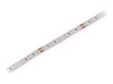 Bandă LED Alb Rece 24V IP20