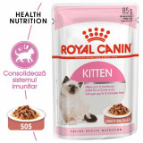 Cumpara ieftin Royal Canin Kitten hrana umeda pisica (in sos), 85 g