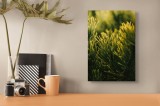 Tablou Canvas, "Strălucirea misterioasă a ramurilor de pin", Frumusețe, Natură, Verde, Frunze, Delicat, Luminos, Calm, Vigoros, Textură, Natural, Pini