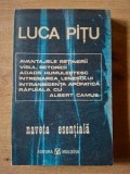 Naveta spatiala- Luca Pitu