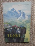 Flori din Muntii Nostri - Al. Beldie, 1959, 24 Planse Color, Biologie, Botanica, Ilustratii
