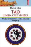 Tao lumina care vindeca. Practici fundamentale pentru activarea energiei qi &ndash; Mantak Chia