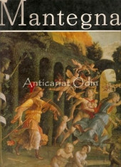Mantegna - Alexandru Balaci foto