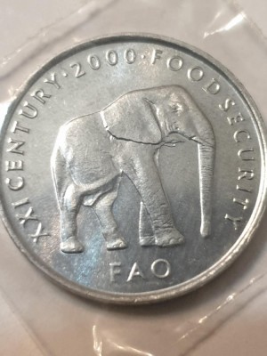 C2 Somalia 5 shillings 2000 FAO unc foto