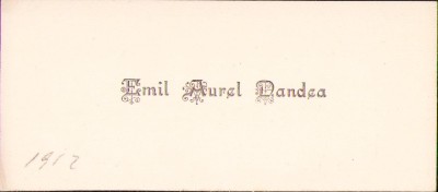 HST A2353 Carte vizită Emil Aurel Dandea, primar T&amp;acirc;rgu Mureș 1912 foto